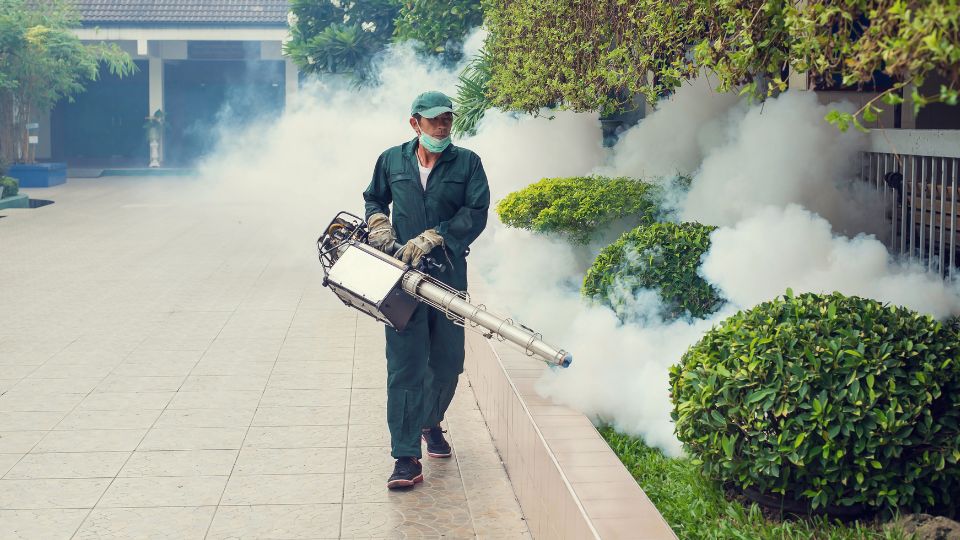 Un lucrător aplică insecticid pentru combaterea țânțarilor într-o zonă verde.