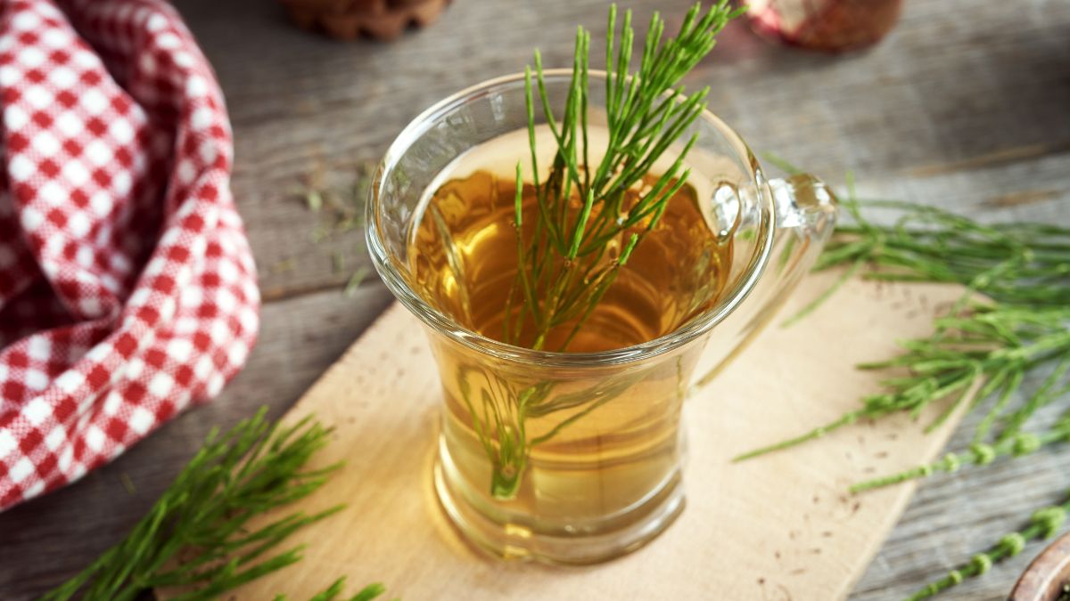 Ceașcă de ceai de coada-calului cu crenguțe verzi, pe un fundal rustic.